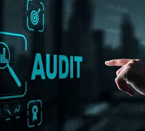 Comprehensive IT Audit Service