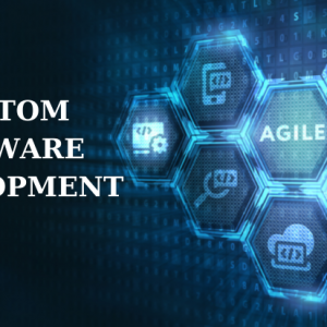 Custom Software Development Package