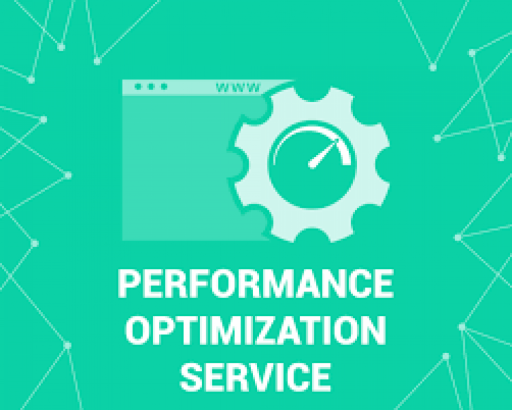 Software Optimization Service