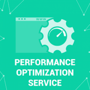 Software Optimization Service